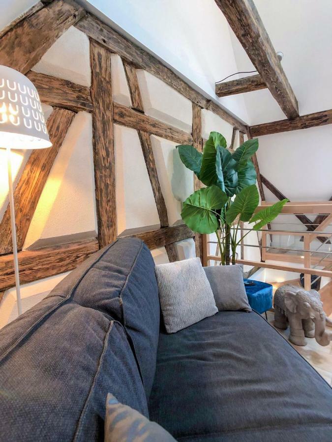 Beauty & The Beast - Old Town Cosy Apartments Colmar Exterior photo